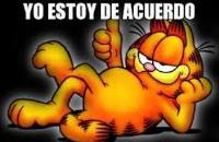 Estoy de acuerdo! (Not “I am agree.”)